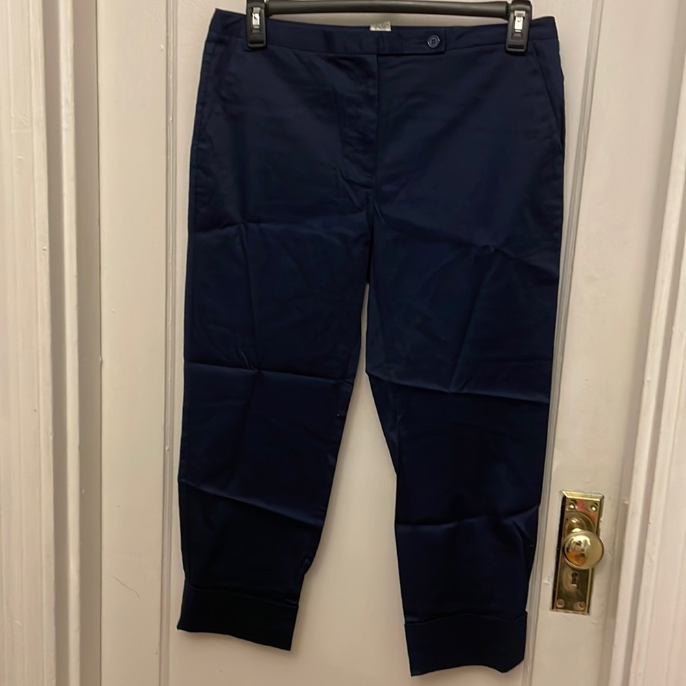 NWT WDNY navy ankle pants size L.